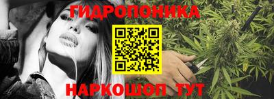индика Набережные Челны